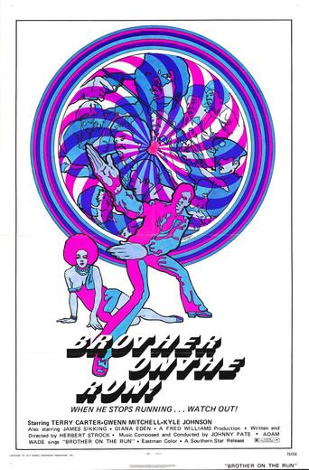 Brother on the Run film afişi