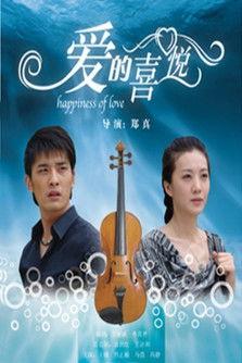 爱的喜悦 film afişi