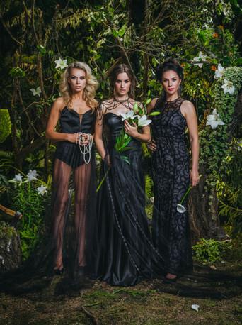 Juodosios našlės dizi afişi