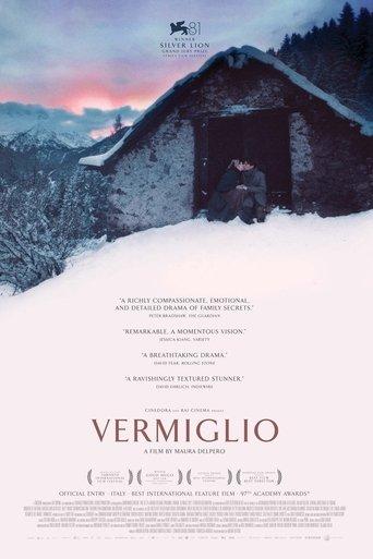 Vermiglio film afişi