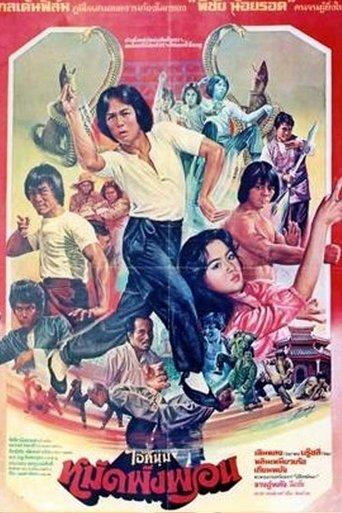 Fearless Master film afişi