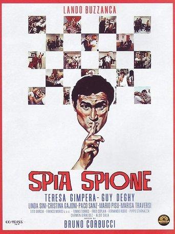 Spia spione film afişi