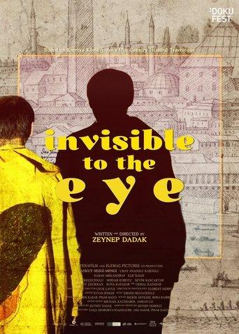 Invisible to the Eye film afişi