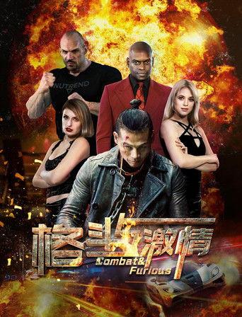 格斗与激情 film afişi