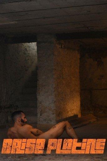 Baise platine film afişi