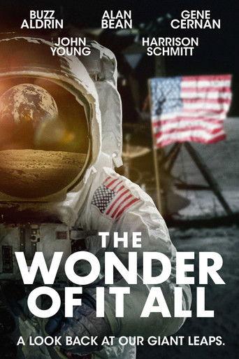 The Wonder of It All film afişi