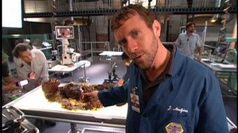 The Director's Take: Squints - Season 3