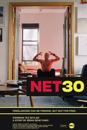 NET30 film afişi