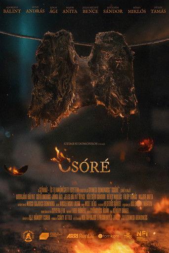 Csóré film afişi