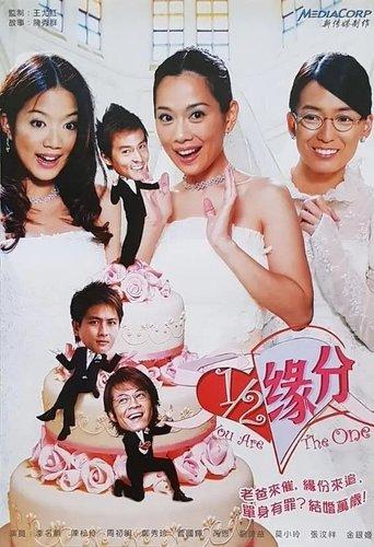 二分之一缘分 dizi afişi