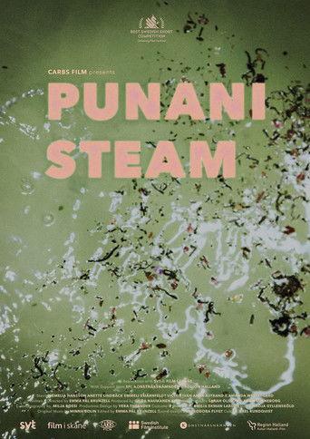 Punani Steam film afişi