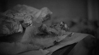 Ed Gein: The Real Psycho