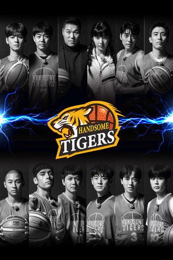 Handsome Tigers dizi afişi