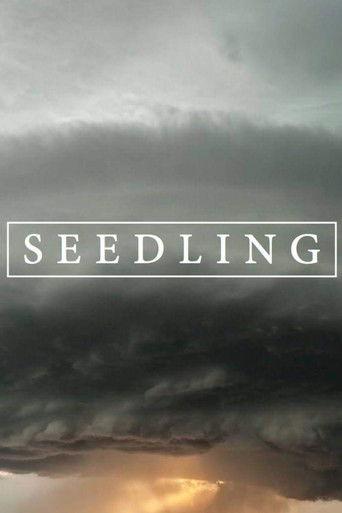 Seedling film afişi
