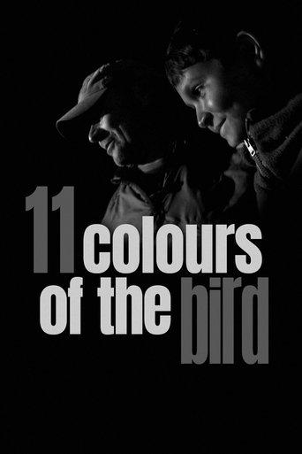 11 Colours of the Bird film afişi