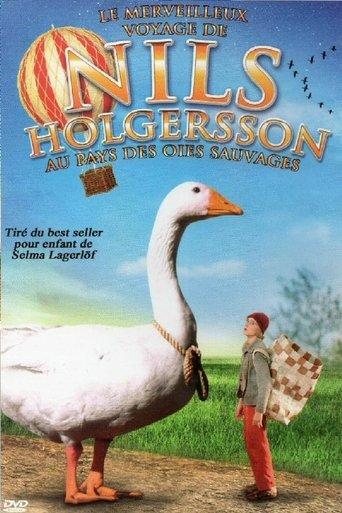 Nils Holgerssons wunderbare Reise dizi afişi