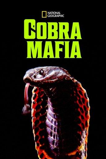 Cobra Mafia film afişi