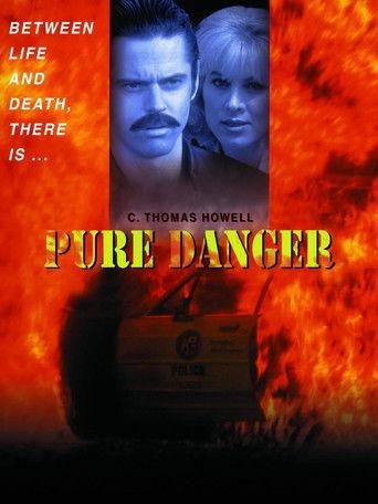 Pure Danger film afişi