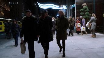 Swimming With the Sharks