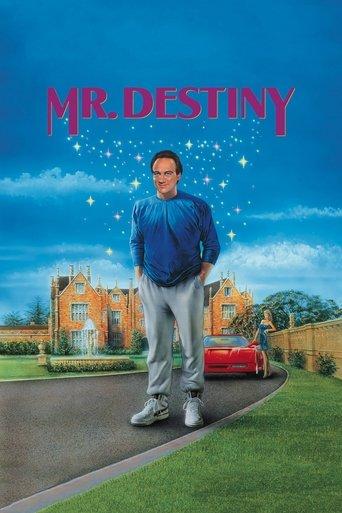 Mr. Destiny film afişi