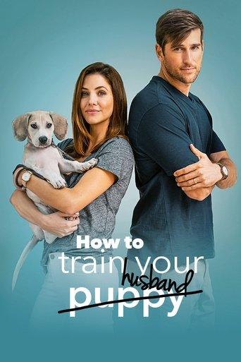 How to Train Your Husband film afişi