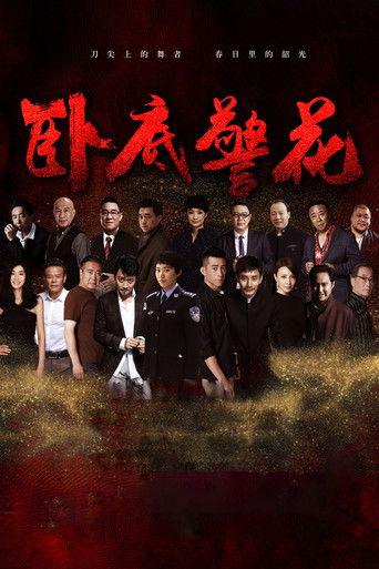 卧底警花 dizi afişi