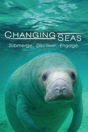 Changing Seas dizi afişi