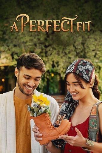 A Perfect Fit film afişi