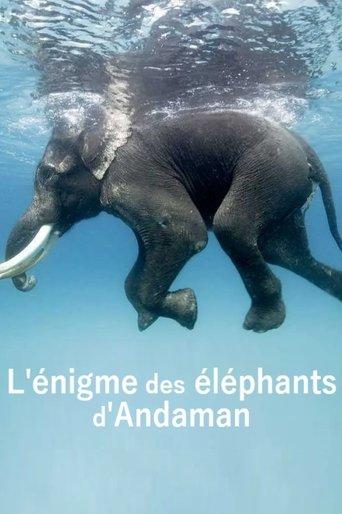L'énigme des éléphants d'Andaman film afişi