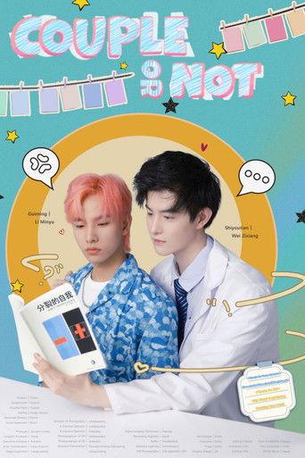 Couple or Not dizi afişi