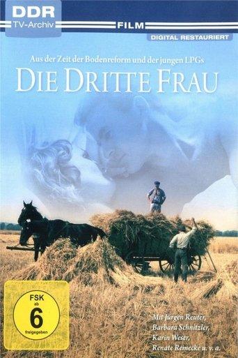 Die dritte Frau film afişi