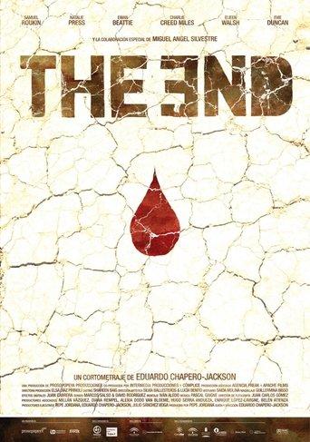 The End film afişi