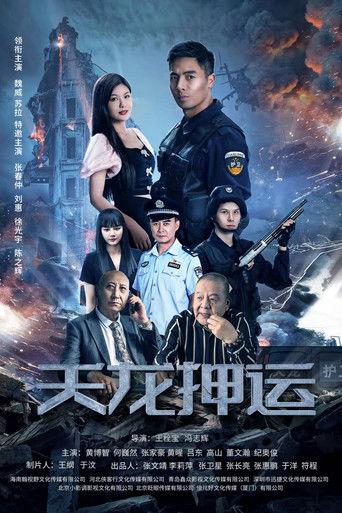 天龙押运 film afişi