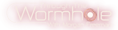 Through the Wormhole logo
