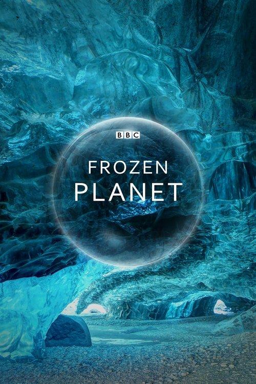 Frozen Planet dizi afişi