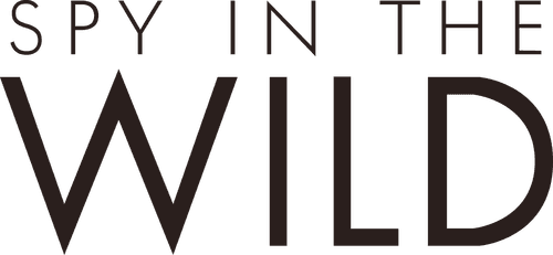 Spy in the Wild logo