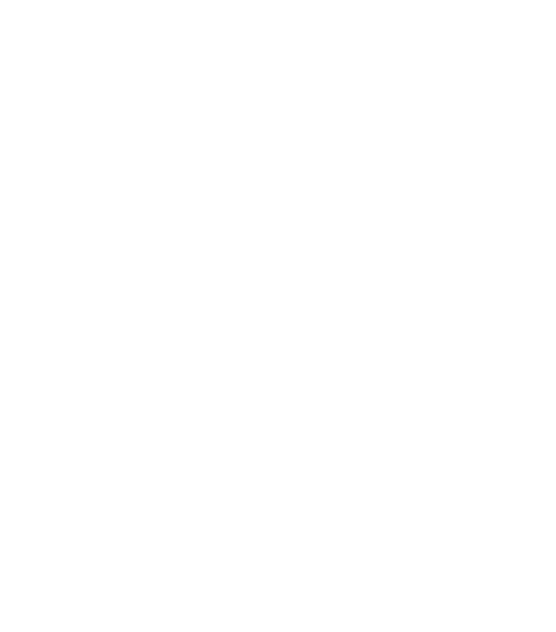 Fighter of the Destiny logo