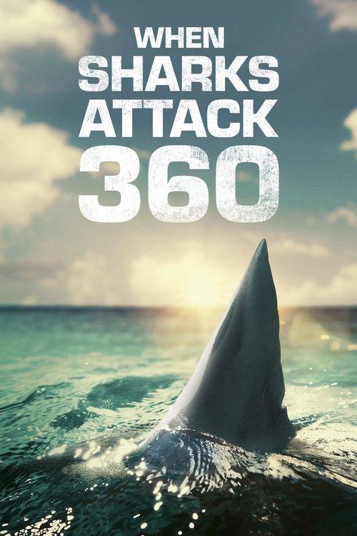 When Sharks Attack 360 Sezon 1