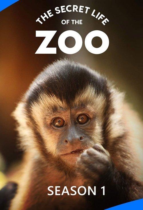 The Secret Life of the Zoo Sezon 1