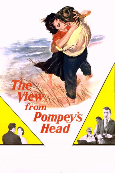 The View from Pompey's Head film afişi