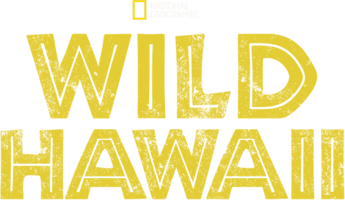 Wild Hawaii logo