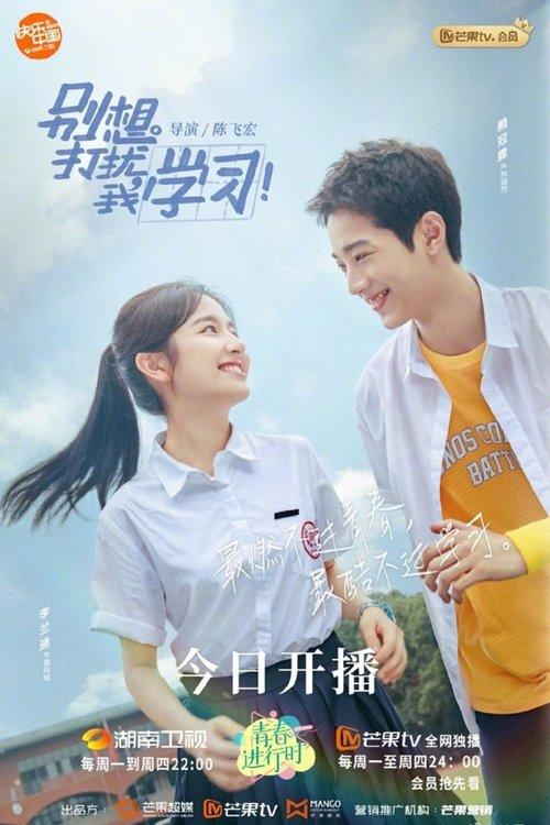 Don't Disturb My Study dizi afişi