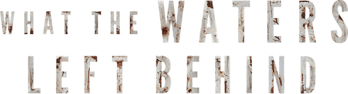 What the Waters Left Behind logo