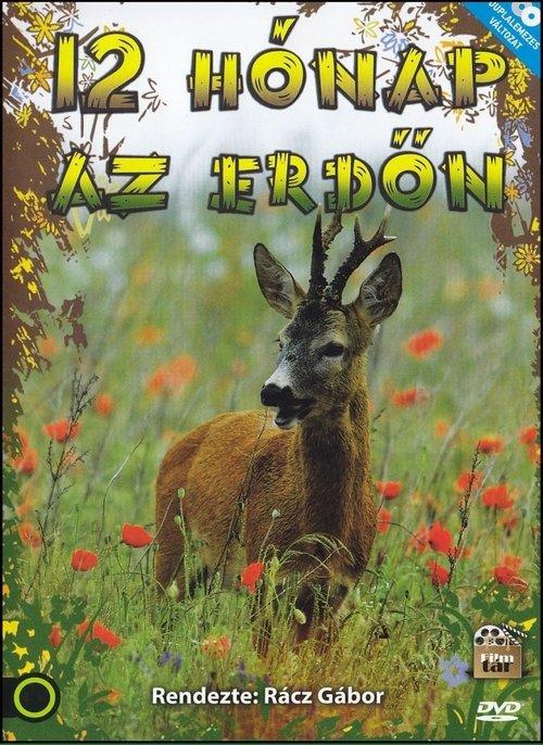 12 hónap az erdőn dizi afişi