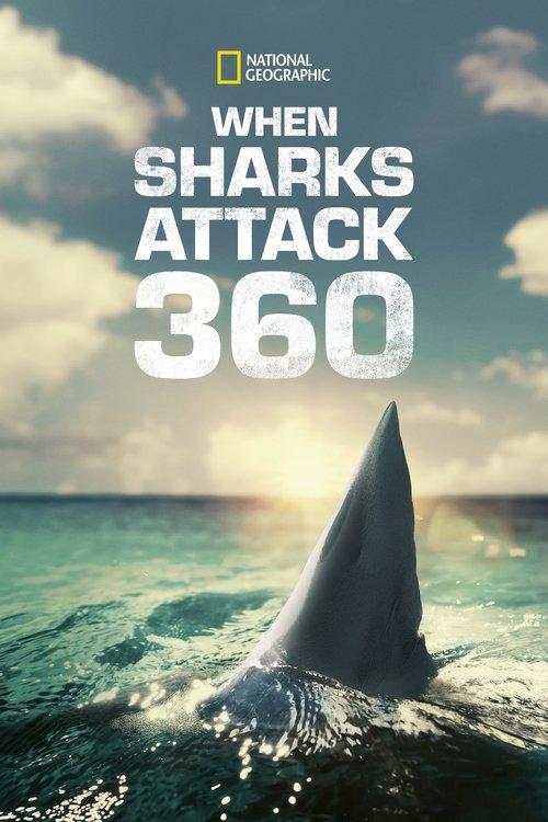 When Sharks Attack 360 dizi afişi