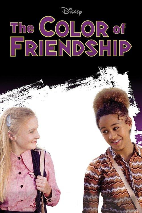 The Color of Friendship film afişi