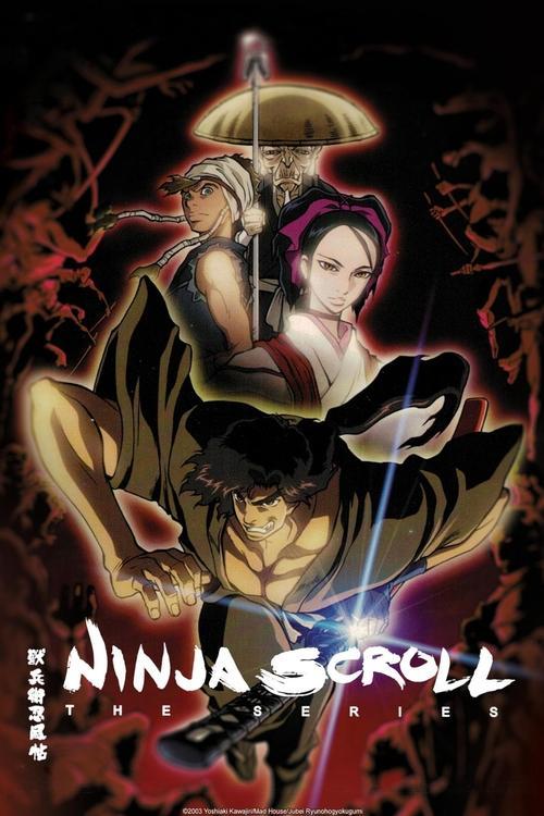 Ninja Scroll: The Series dizi afişi