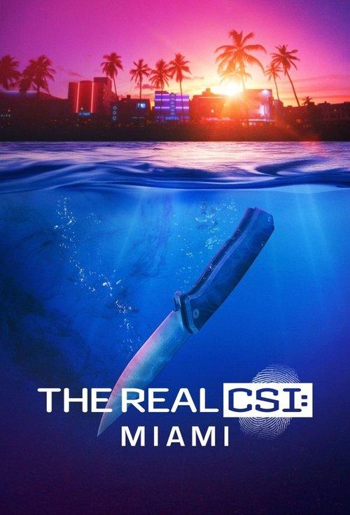 The Real CSI: Miami dizi afişi
