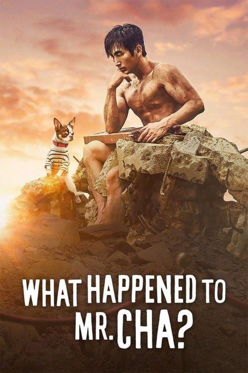 What Happened to Mr. Cha? film afişi