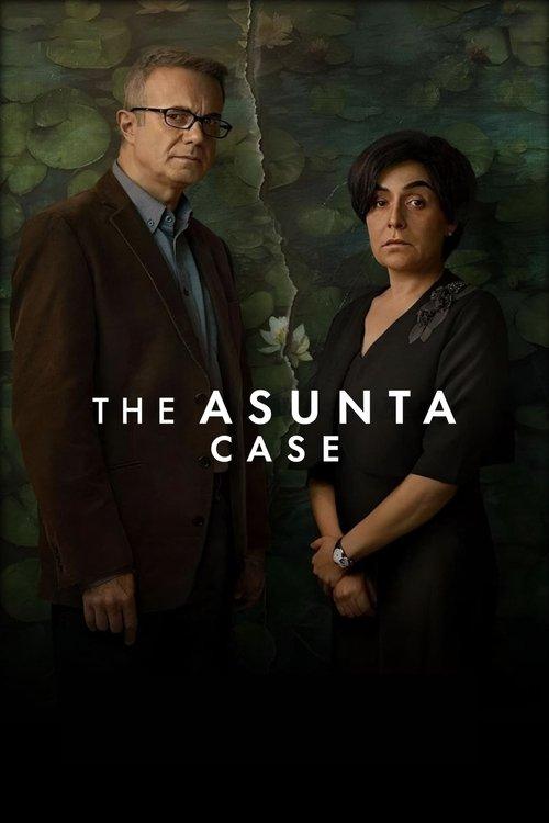 The Asunta Case dizi afişi